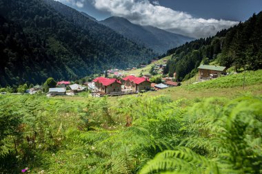 Yaz turizmi için popüler hedef Ayder Yaylası Rize,Turkey.Ayder Valley manzara görülmektedir.
