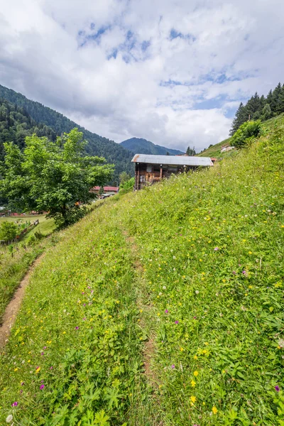 Пейзажний Вид Айдер Плато Долині Rize Turkey Ayder Популярним Місцем — стокове фото