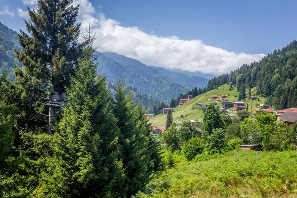 Rize Turkey Ayder 밸리에서 Ayder 고원의 보기는 관광에 목적지 — 스톡 사진