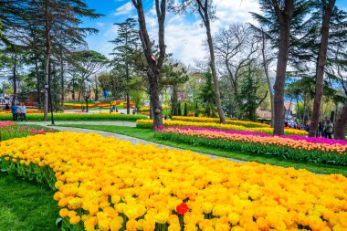 Emirgan Parkı, Sarıyer semtinde yer alan tarihi bir kent parkı geleneksel Lale Festivali. Turistler ve yerliler için ziyaret edin ve zaman harcamak. Istanbul,Turkey.15 Nisan, 2017
