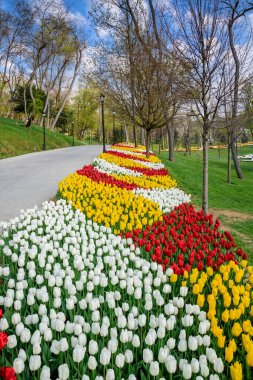 Emirgan Parkı, Sarıyer semtinde yer alan tarihi bir kent parkı geleneksel Lale Festivali. Turistler ve yerliler için ziyaret edin ve zaman harcamak. Istanbul, Türkiye