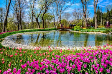 Emirgan Parkı, Sarıyer semtinde yer alan tarihi bir kent parkı geleneksel Lale Festivali. Turistler ve yerliler için ziyaret edin ve zaman harcamak. Istanbul,Turkey.15 Nisan, 2017