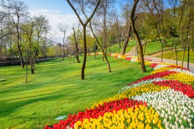 Emirgan Parkı, Sarıyer semtinde yer alan tarihi bir kent parkı geleneksel Lale Festivali. Turistler ve yerliler için ziyaret edin ve zaman harcamak. Istanbul, Türkiye