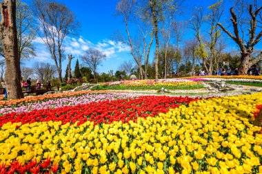Emirgan Parkı, Sarıyer semtinde yer alan tarihi bir kent parkı geleneksel Lale Festivali. Turistler ve yerliler için ziyaret edin ve zaman harcamak. Istanbul,Turkey.15 Nisan, 2017