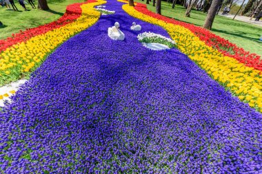 Emirgan Parkı, Sarıyer semtinde yer alan tarihi bir kent parkı geleneksel Lale Festivali. Turistler ve yerliler için ziyaret edin ve zaman harcamak. Istanbul, Türkiye