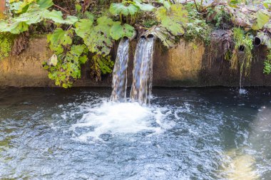 Maşukiye, Kocaeli, Türkiye gıda endüstrisinde alabalık yetiştiriciliği için yapay gölet