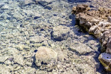 Bir Sahil Milli Parkı Kornati