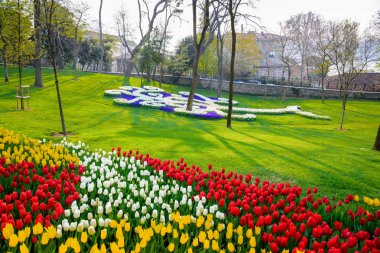 Emirgan Parkı, Sarıyer semtinde yer alan tarihi bir kent parkı geleneksel Lale Festivali. Turistler ve yerliler için ziyaret edin ve zaman harcamak. Istanbul, Türkiye