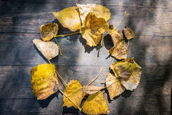 背景纹理与老木桌和顶部风景的黄色秋天叶子折叠以圈子的形式 复制空间以进行编辑 — 图库照片