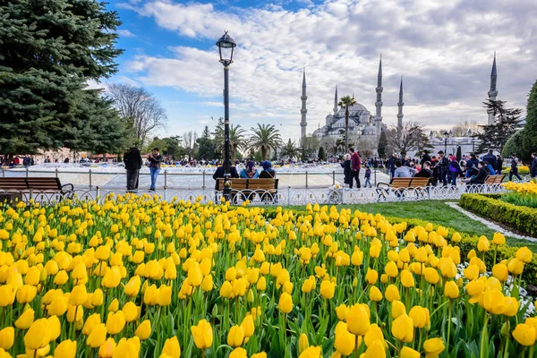 Hagyományos Tulip Fesztivál Sultanahmet Tértől Kilátással Sultan Ahmet Mosque Blue — Stock Fotó