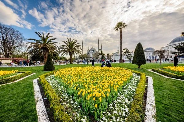 Festival Tulip Tradisional Lapangan Sultanahmet Dengan Pemandangan Masjid Sultan Ahmet — Stok Foto