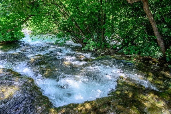 배경의 공원에서 Sibenik 크로아티아의 크로아티아 하나에 — 스톡 사진