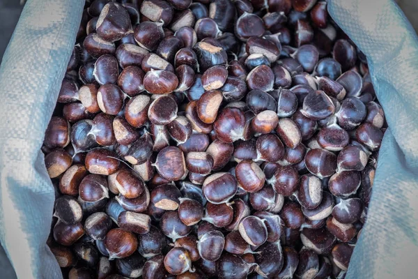 Birçok taze kestane (Castanea sativa) Satılık çanta