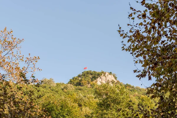 Турецький Прапор Махав Вершині Пагорба Оточенні Дерев Masukiye Kocaeli Сполучені — стокове фото