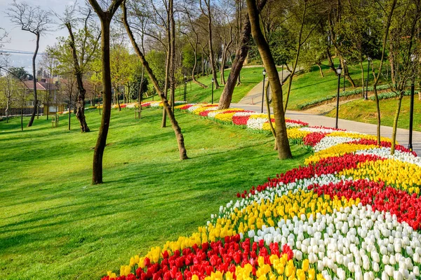 Traditionell Tulip Festival Emirgan Park Historisk Stadspark Ligger Sariyer Distrikt — Stockfoto