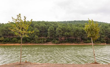 Aydos orman gölde görünümünü bulutlu bir günde Istanbul, Türkiye
