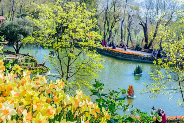 Traditionele Tulip Festival Emirgan Park Een Historische Stadspark Gelegen Het — Stockfoto