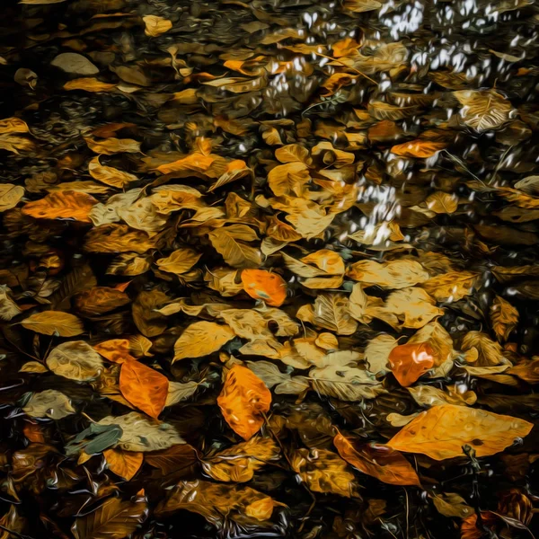 Мягкий Вид Осенних Разноцветных Листьев Поверхности Лужи Воды Отражениями Осенний — стоковое фото