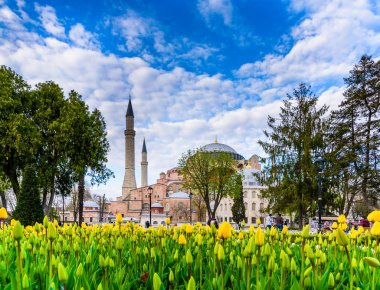 Geleneksel Lale Festivali Sultanahmet Meydanı'nda Sultan Ahmet Mosque(Blue Mosque) manzarasına sahip. Istanbul,Turkey.04 Nisan, 2017
