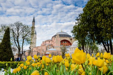 Ayasofya'nın, Yunan Ortodoks Hıristiyan Patriklik Bazilikası'na (kilise) arka plan ve ön plan üzerinde renkli lale manzarasına sahip geleneksel Lale Festivali Sultanahmet Meydanı'nda. Istanbul,Turkey.04 Nisan, 2017