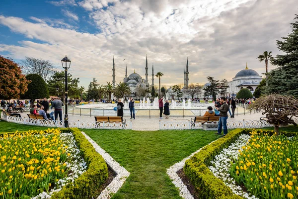 スルタン アフメット Mosque Blue Mosque の眺めと伝統的なチューリップ スルタンアフメット広場のお祭り Istanbul Turkey 2017 — ストック写真