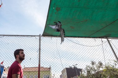 Kimliği belirsiz canlı güvercin kafes, Istanbul, Türkiye, 15 Ekim, 2017'de güvercin ın Bazaarı, sürekli satıyor