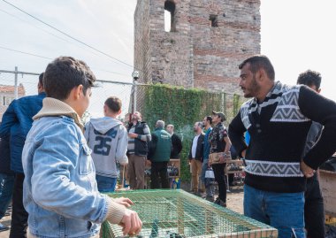 Kimliği belirsiz canlı güvercin kafes, Istanbul, Türkiye, 15 Ekim, 2017'de güvercin ın Bazaarı, sürekli satıyor