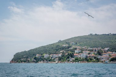 Istanbul, Türkiye'de denizden Burgazada adasının görünümü