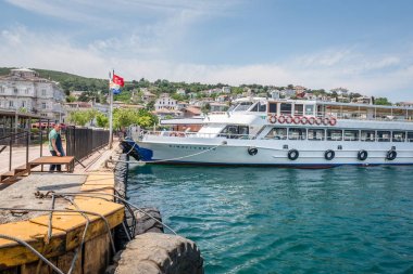 Istanbul, Türkiye'de denizden Burgazada adasının görünümü