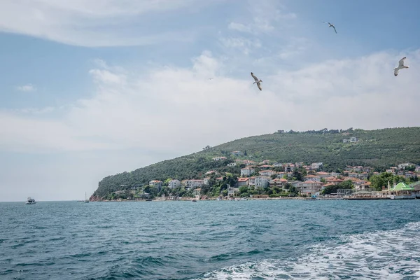 Istanbul, Türkiye'de denizden Burgazada adasının görünümü