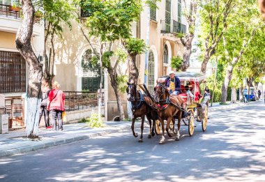 Büyük ada veya Prens Adası ünlü phaeton tur Istanbul'da olduğunu