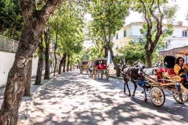 Büyük ada veya Prens Adası ünlü phaeton tur Istanbul'da olduğunu
