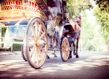 Büyük ada veya Prens Adası ünlü phaeton tur Istanbul'da olduğunu
