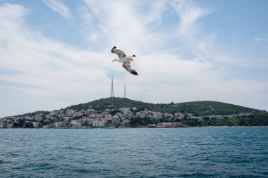 Istanbul, Türkiye'de Kinali adasının görünümü