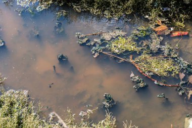 Atık su çevre kirliliği doğa. Kirli ve su arka plan kabarcıklar. Su kirliliği kavramı. Durgun su