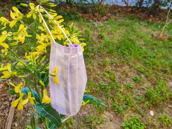 protective mask is lying on the grass.Spring during the coronavirus.Protective face mask on plant background with spring plants, with copy space.Surgical mask with rubber ear straps.