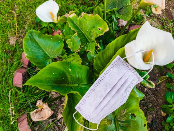 protective mask is lying on the grass.Spring during the coronavirus.Protective face mask on plant background with spring plants, with copy space.Surgical mask with rubber ear straps.