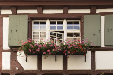 Pencere ve Sardunya çiçekleri ile Ortaçağ yarı ahşap ev