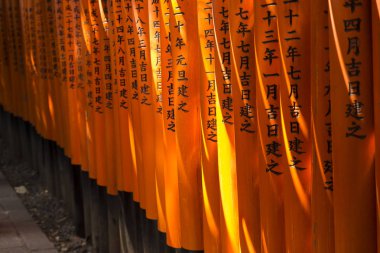 Kyoto Fushimi Inari tapınak turuncu kapıları
