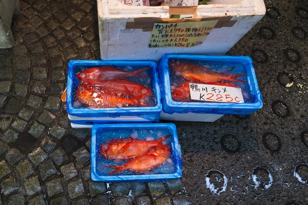 Nahaufnahme von frischem roten Fisch auf dem Tsukiji-Fischmarkt in Tokio Japan — Stockfoto