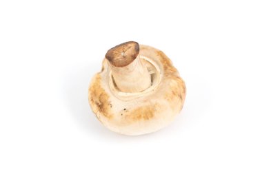 Mantar champignon izole 
