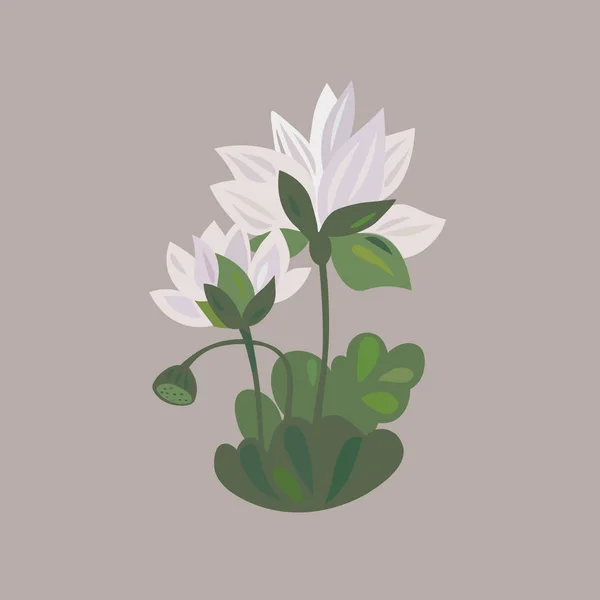 Lótusz virág ikon vízi liliom virág — Stock Vector