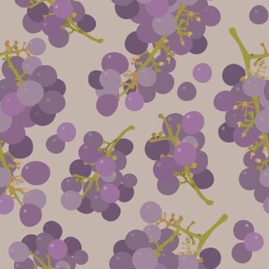 Üzüm ile vektör seamless modeli