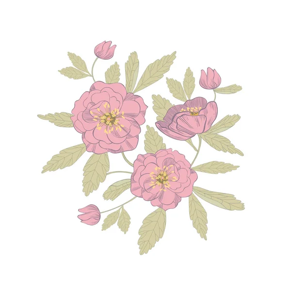 Anemone blommor design — Stock vektor