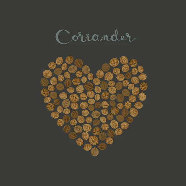 Graines de coriandre épices en forme de coeur sur le fond noir — Image vectorielle