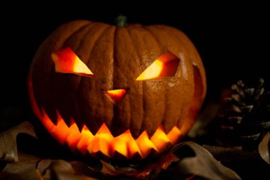 Korkunç ve ürkütücü el, Cadılar Bayramı balkabağı oyması içinde alevler ve sonbahar yaprakları ve konileri olan koyu siyah arka plan. Festivalsel görsel temsil kartları için metin ve boşluk kopyala