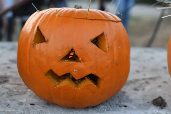 Kültéri Sütőtök Fesztivál Halloween Autentikus Esemény Kézzel Faragott Sütőtök Sorban — Stock Fotó