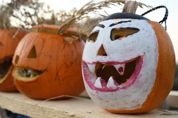 Kültéri Sütőtök Fesztivál Halloween Autentikus Esemény Kézzel Faragott Sütőtök Sorban — Stock Fotó