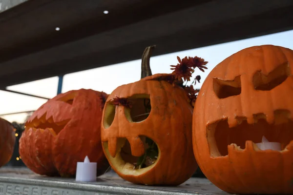 Kültéri Sütőtök Fesztivál Halloween Autentikus Esemény Kézzel Faragott Sütőtök Sorban — Stock Fotó