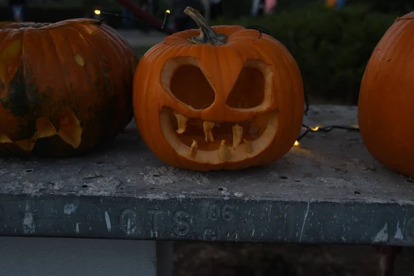 Kültéri Sütőtök Fesztivál Halloween Autentikus Esemény Kézzel Faragott Sütőtök Sorban — Stock Fotó